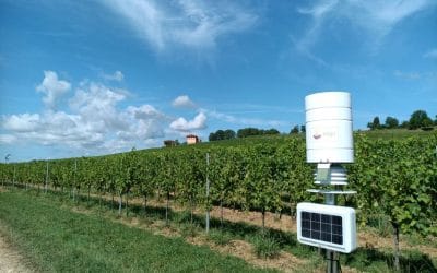 L’agricoltura del futuro con 4Agri: innovazione tecnologica, sostenibilità ambientale e progresso responsabile