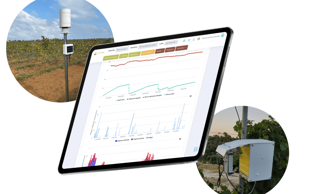 Agricoltura 4.0 in azione: come i DSS 4Agri 2025-26 rivoluzionano la gestione fitopatologica e la sostenibilità in campo