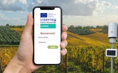 AI-Grape ti supporta nell’ottimizzazione della difesa di Vite o Olivo