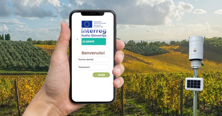 AI-Grape ti supporta nell’ottimizzazione della difesa di Vite o Olivo